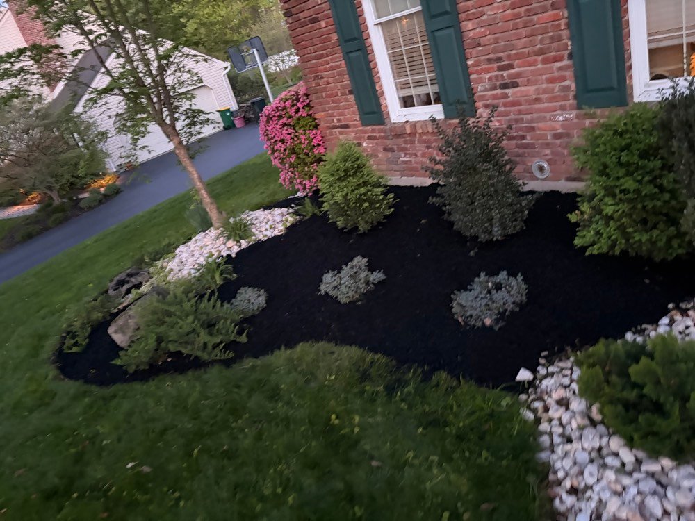 Foundation planting with azaleas and river rock border