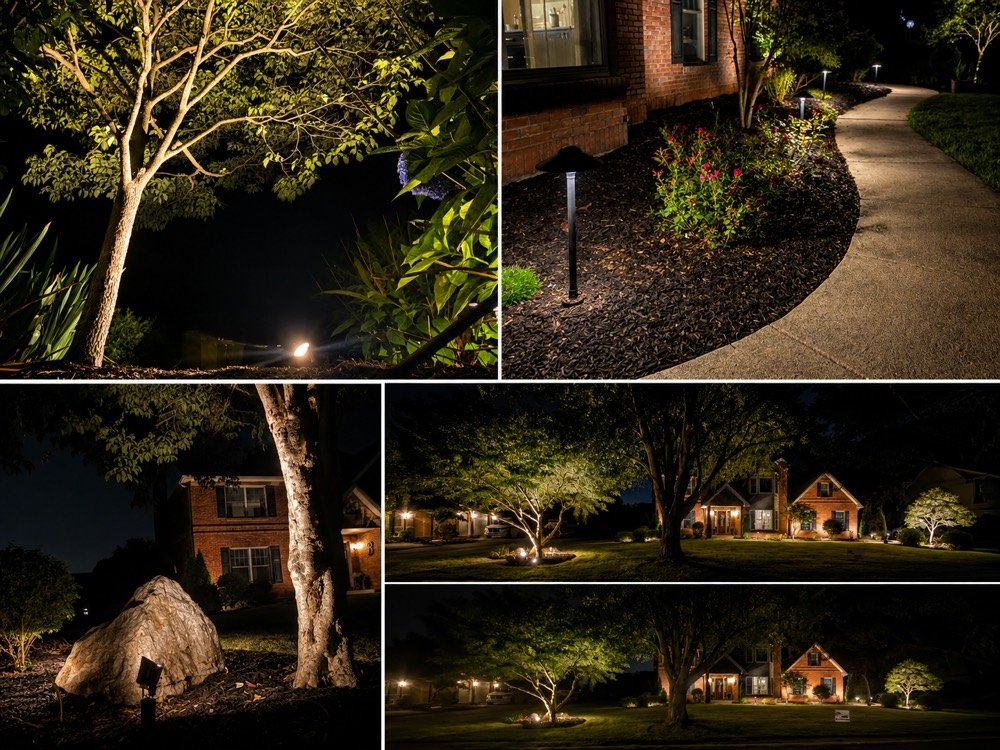 Low-voltage landscape lighting illuminating trees, a walkway, and an accent boulder at night