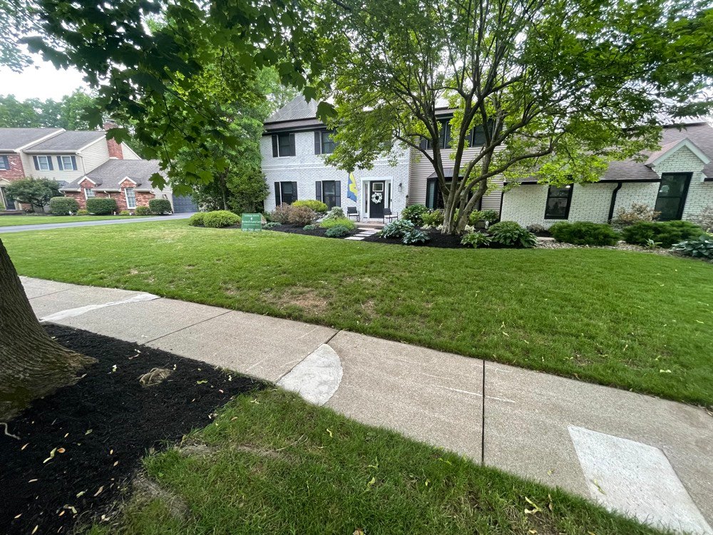 Freshly mulched and edged landscape bed alongside a well-maintained lawn